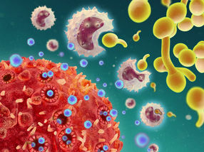 Löcher in T-Zellen