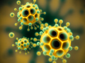 Les virus de la variole du singe restent sensibles aux médicaments disponibles.