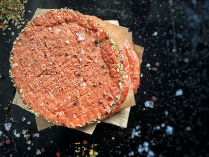 Global Plant-based Meat Market Report 2022: Featuring Beyond Meat, Impossible Foods, Kraft Foods, Tofurky & More
