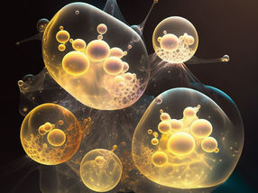 Las comunidades celulares salen ganando: Las células que cooperan viven más