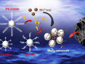 Les nanoplastiques produisent de manière inattendue des espèces oxydantes réactives lorsqu'ils sont exposés à la lumière.