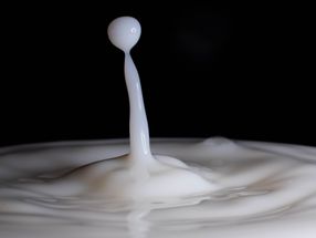 VÖM: Milchexporte 2022 weiter gestiegen