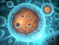 Interrogatorio de la progresión de la enfermedad y los procesos celulares con TIGER: in vivo y de forma no invasiva