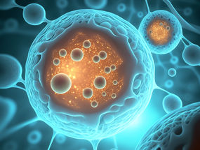 Mit TIGER Krankheitsverläufe und Zellprozesse analysieren: in vivo und nicht-invasiv