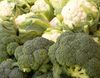 Broccoli looks more like cauliflower in a warmer world