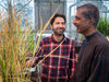 Imtiyaz Khanday und Venkatesan Sundaresan, fotografiert mit geklonten Reispflanzen in einem Gewächshaus auf dem Campus der UC Davis. Ihre Arbeit hat zu einem Durchbruch in der Apomixis geführt, der Vermehrung einer hybriden Reissorte durch klonales Saatgut.