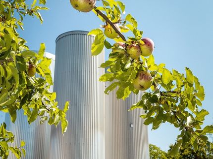 Verband der deutschen Fruchtsaft-Industrie (VdF)