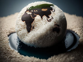 Gentechnisch veränderter Reis könnte der Schlüssel zur Bewältigung der durch den Klimawandel verursachten Nahrungsmittelknappheit sein