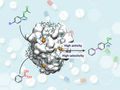 Catalizadores híbridos enzima-metal-similar-átomo para reacciones quimioenzimáticas eficientes de un solo paso