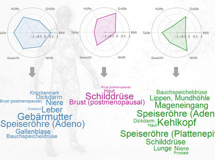 Neue Erkenntnisse über Körperformen und Krebsrisiko