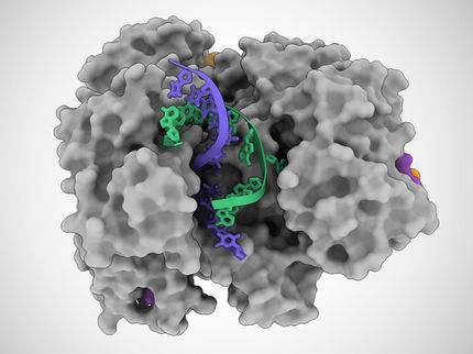 How a CRISPR protein might yield new tests for many viruses