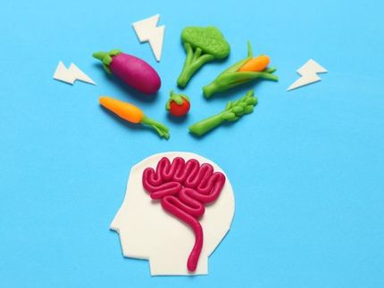 El cerebro controla nuestro comportamiento alimentario.