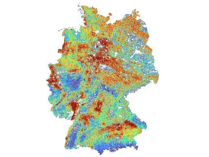 Pestizidrisiken für Bestäuber in Deutschland