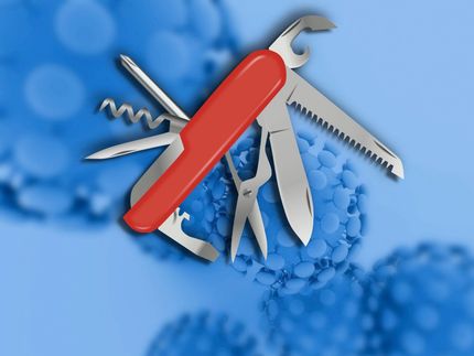 „Schweizer Taschenmesser“ für Influenzaviren