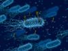 Phagentherapie-Diagnostik-Plattform im weltweiten Kampf gegen multiresistente Infektionen