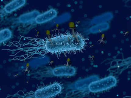 Phage therapy diagnostic platform in global fight against multidrug-resistant infections