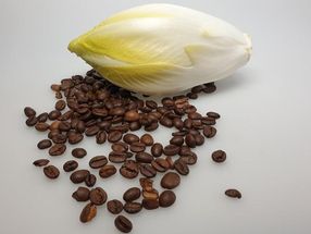 Chicory and roasted coffee contain different bitter substances
