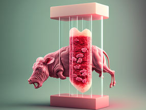 fenaco prüft Potenzial von Kulturfleisch auf Schweizer Bauernhöfen