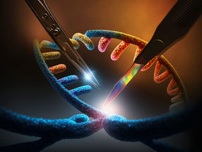 Verfahren der Genom-Editierung optimiert