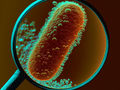 Novel way to identify still unknown pathogens