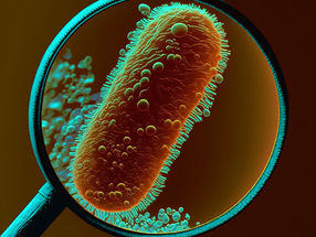 Novel way to identify still unknown pathogens