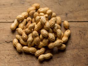Prevención de la alergia al cacahuete: Los investigadores descubren una solución innovadora