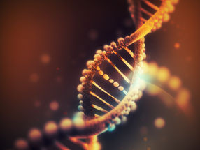 Una start-up pretende revolucionar la accesibilidad de la síntesis genética