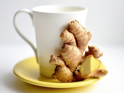 Pungent Ginger Compound Puts Immune Cells on Heightened Alert