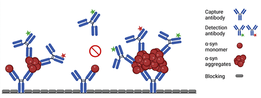 Indicator of early form of Parkinson’s in stool sample