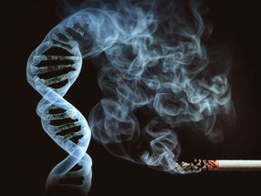 ¿Dónde atacan al ADN las toxinas del tabaco?