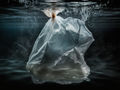 plastic bag in water