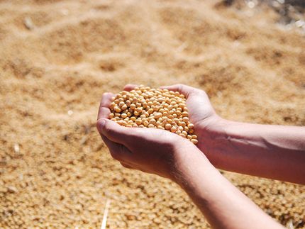Global seed vault exceeds 1.2 million seed samples mark