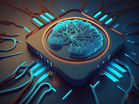 Biocomputers powered by human brain cells?