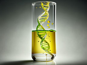 Des composés nocifs pour le patrimoine génétique détectés dans les huiles végétales