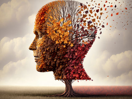 New insights into the development of Alzheimer's disease