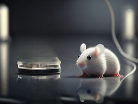 New organ-on-chip pilot seeks to reduce animal testing in consumer health industry