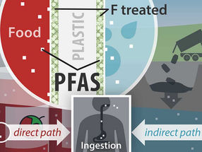 Dans une nouvelle étude publiée dans Environmental Science and Technology Letters, les conteneurs en plastique fluorés en polyéthylène haute densité (PEHD) - utilisés pour les nettoyants ménagers, les pesticides, les produits de soins personnels et, potentiellement, les emballages alimentaires - ont été testés positifs aux PFAS.