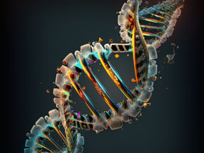 Los investigadores identifican una proteína clave que favorece la reparación del ADN y previene el cáncer