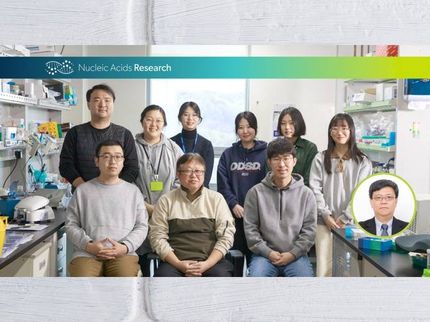 Dieser Durchbruch wurde gemeinsam von Professor Hongtae Kim (Mitte) und Professor Kyungjae Myung (ganz rechts) in der Abteilung für Biologische Wissenschaften am UNIST geleitet.