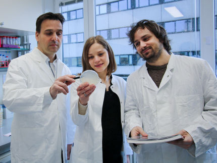 Das Kieler Forschungsteam um Prof. Marc Bramkamp, Manuela Weiß und Dr. Giacomo Giacomelli (v. l.) hat einen neuen Abwehrmechanismus in Bakterienzellen entdeckt, der aus Plasmiden aufgenommene schädliche DNA erkennen und abbauen kann.
