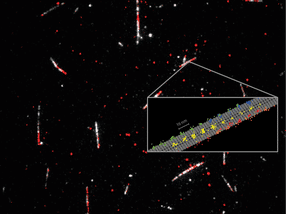Une nouvelle avancée dans la microscopie à fluorescence à super-résolution
