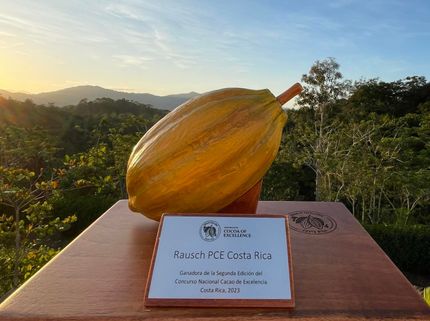 Hochwertigster Edelkakao Costa Ricas - Rausch gewinnt Vorauswahl für Cocoa of Excellence Award 2023