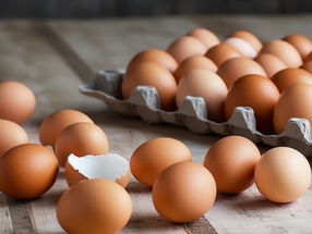 Versorgungsbilanz 2022: Verbrauch von Eiern sinkt auf 230 Stück pro Person
