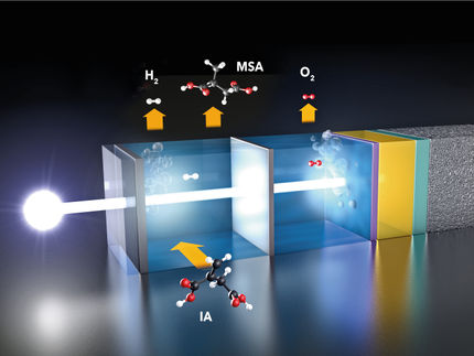Grüner Wasserstoff: Wie photoelektrochemische Zellen wettbewerbsfähig werden könnten