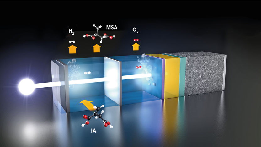 This paper battery works on spit and could provide an eco-friendly option  for the future