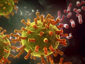 Armas bacterianas contra las enfermedades víricas