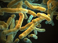Evotec erhält Förderung von 6,6 Mio. US$ für Wirkstoffforschung gegen Tuberkulose