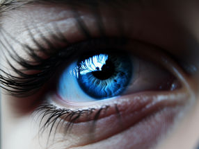 Les gènes de la couleur des yeux sont essentiels à la santé de la rétine