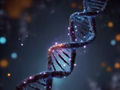 Schlüssel zur Reparatur von DNA-Schäden gefunden