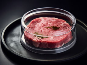 63 % der Verbraucher würden kultiviertes Fleisch probieren